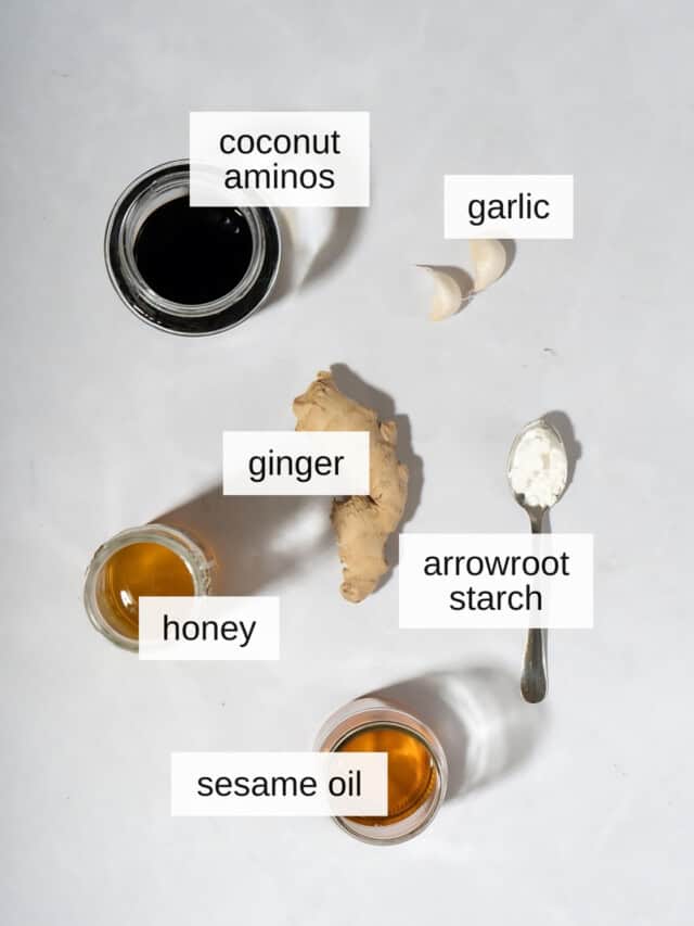 Stir Fry Sauce Without Soy Sauce (Vegan Option) Low Histamine Eats