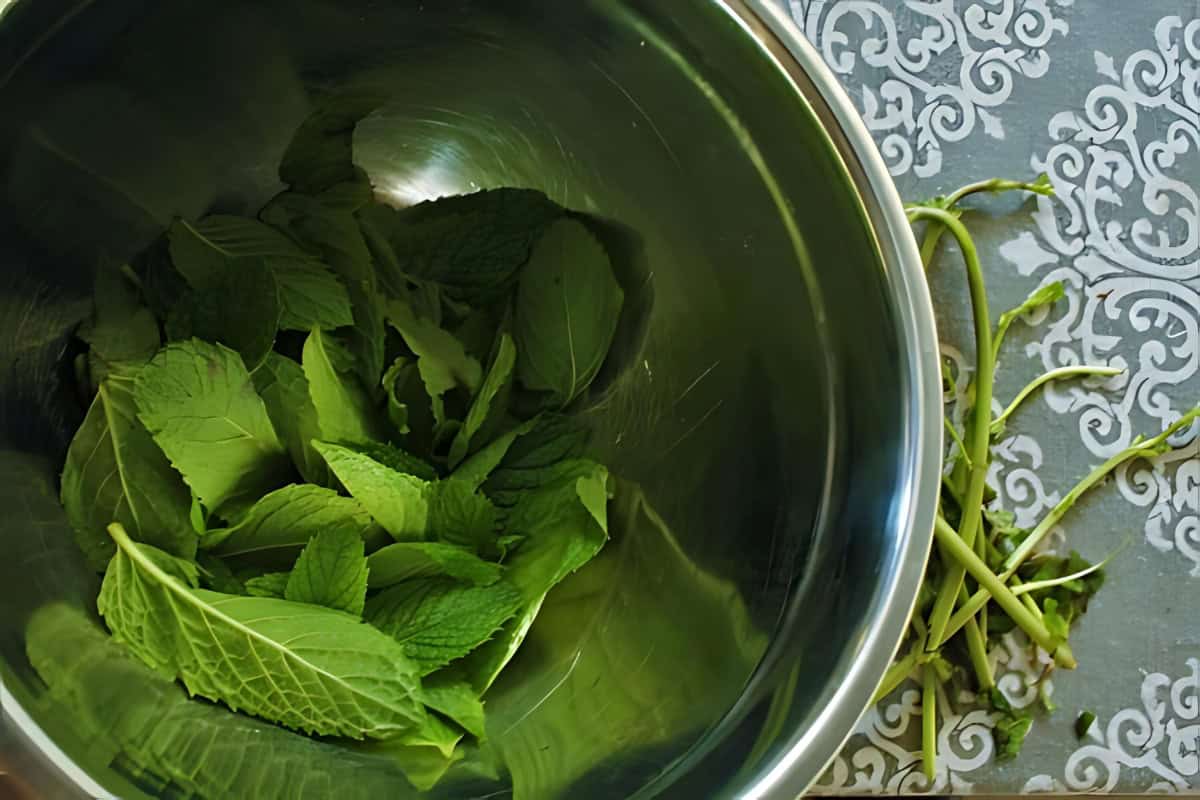 Homegrown fresh mint in a stainless steel bowl.