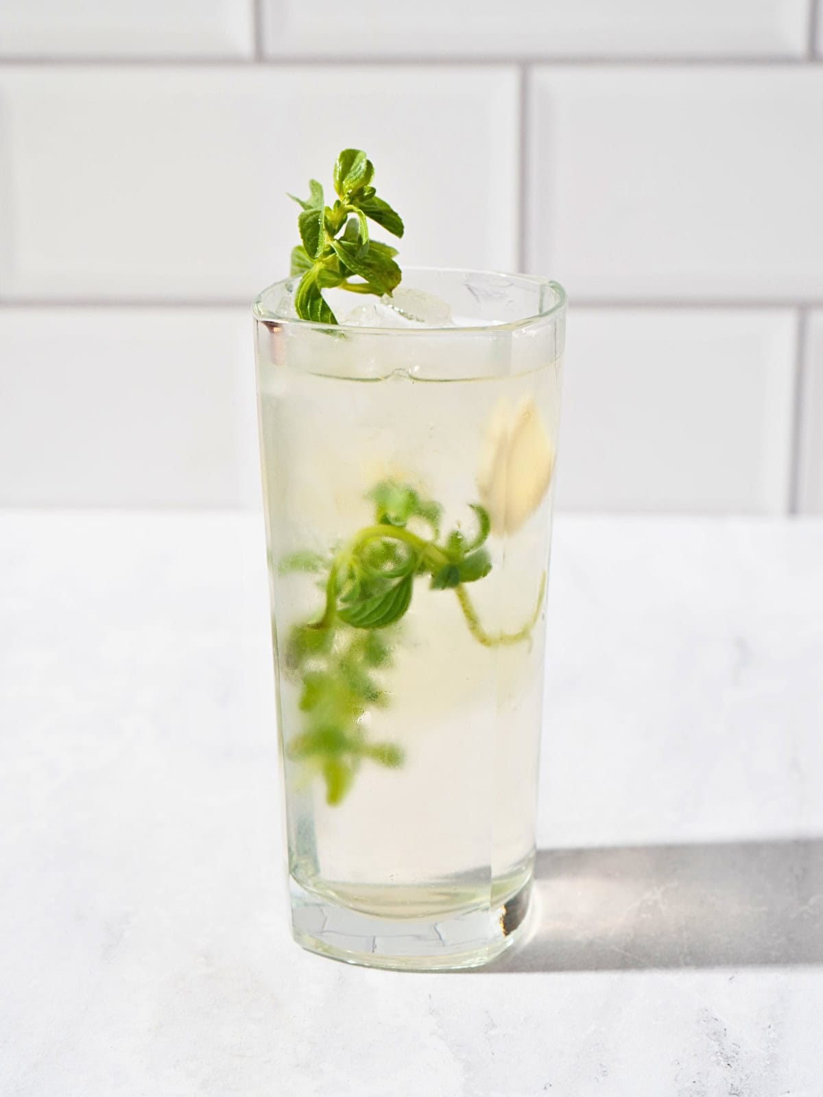 Refreshing iced ginger mint tea served in a clear glass with fresh mint and ginger garnish.