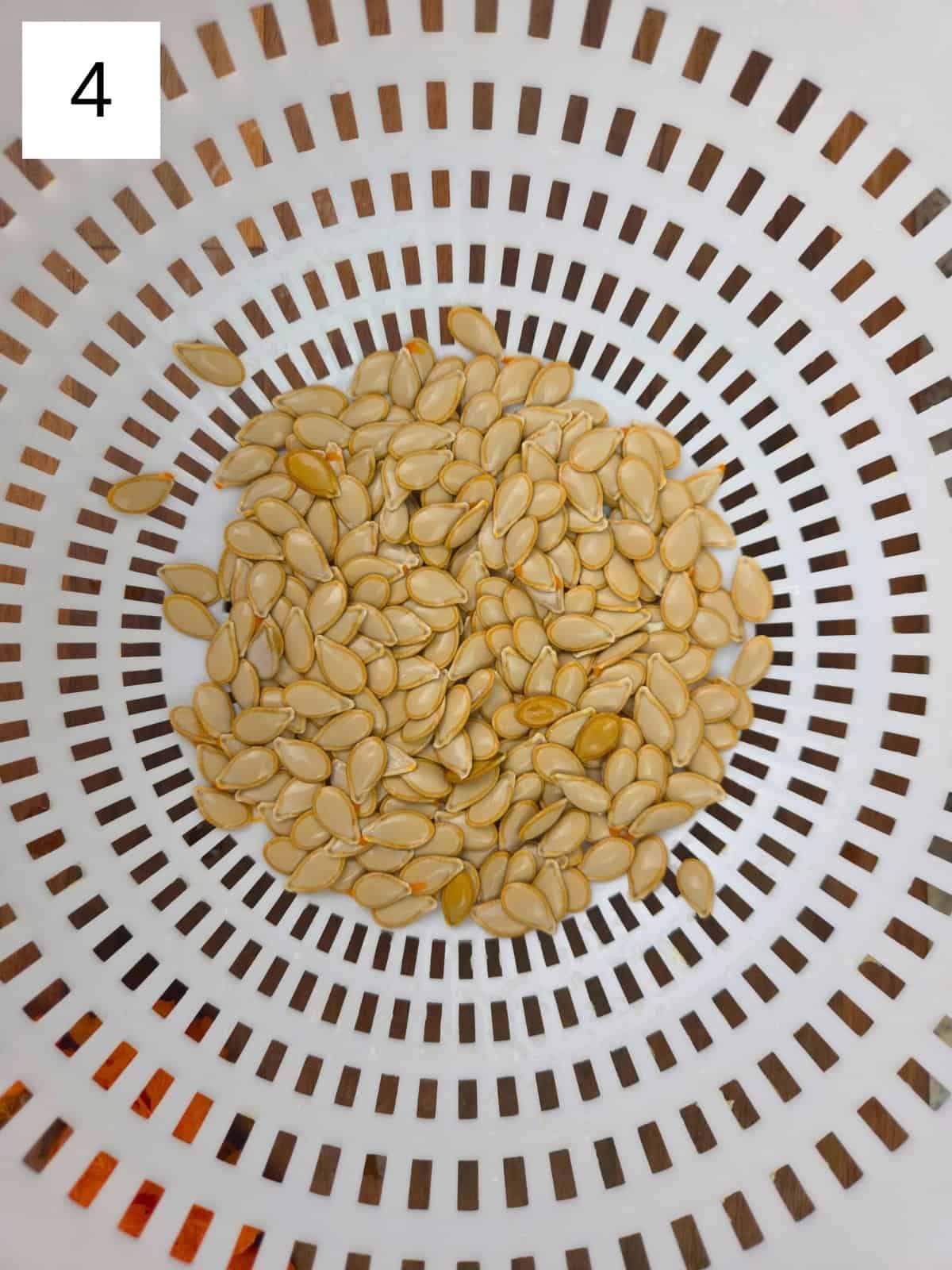 Squash seeds being drained in a colander after soaking.